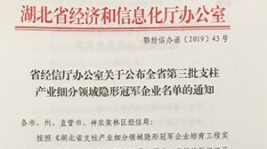 完美官网-完美（中国）一站式服务官网电子被认定为“湖北省支柱产业细分领域隐形冠军示范企业”